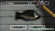 Reel Fishing: The Great Outdoors     PSP,   